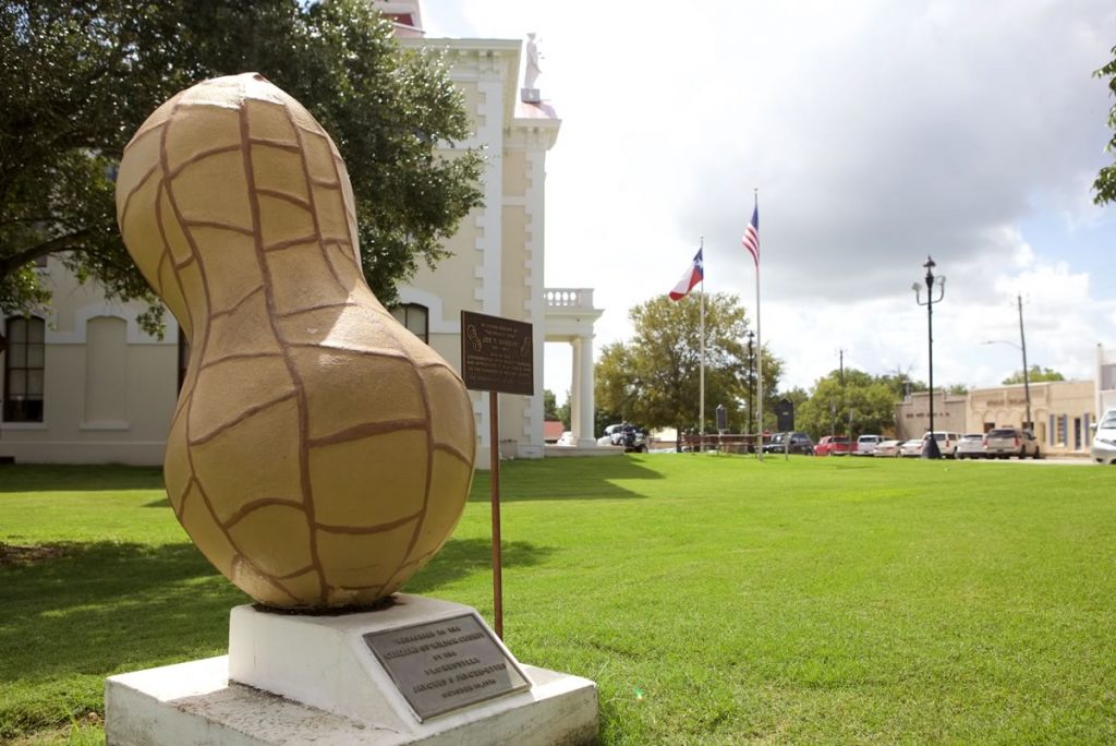 Floresville’s nickname, Peanut Capital of Texas, and the annual Peanut Festival reflect the tradition of agriculture.